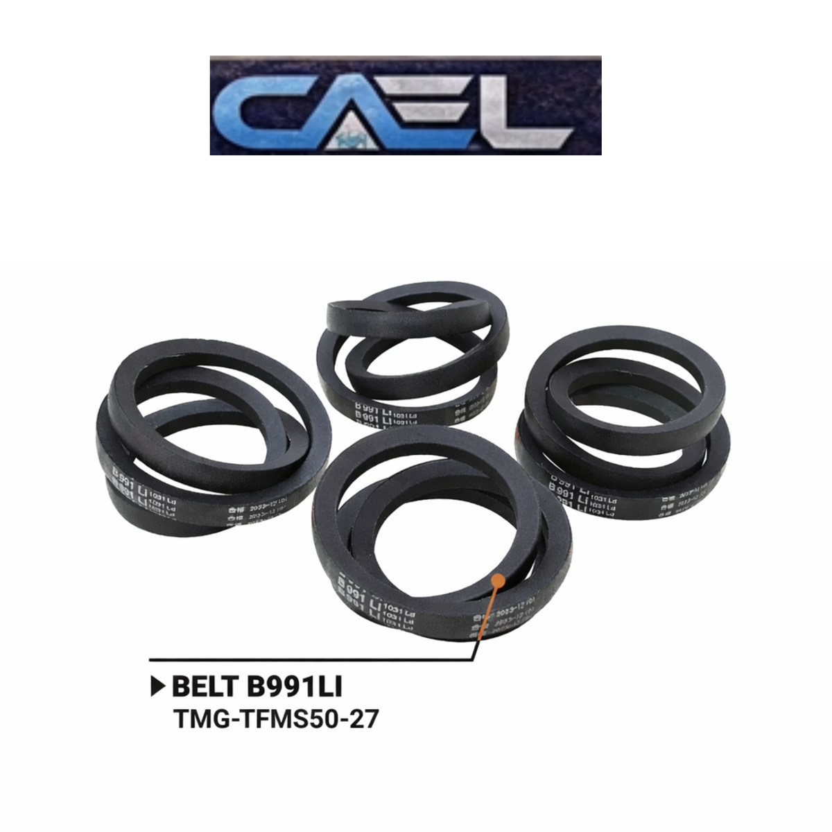 CAEL EFGCH-155 Broyeur à fléaux à déport hydraulique 60" – 30–40 HP