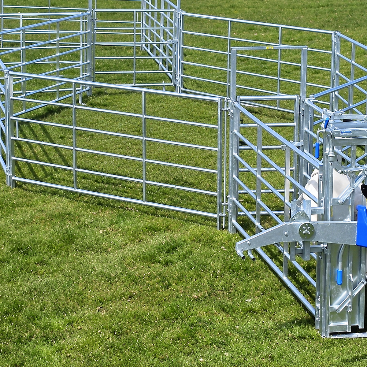 Panneau de corral CAEL Brute – bois traité autoclave et cadre acier