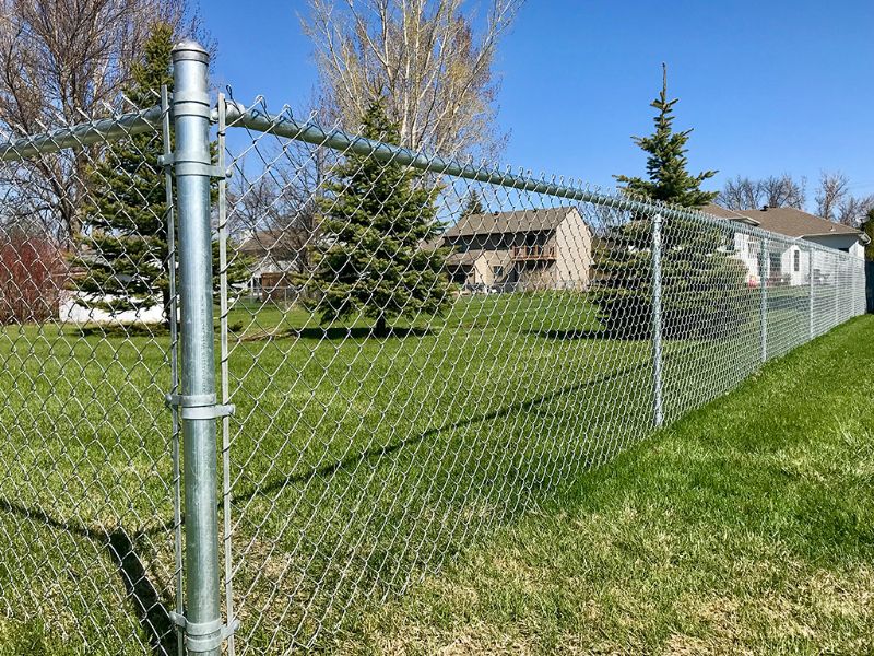 CAEL Kit de clôture grillagée 6 ft – 500 ft avec 2 portails, galvanisée