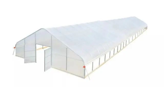 CAEL Tunnel de serre 33 × 100 ft – Film EVA 6 mil, structure acier