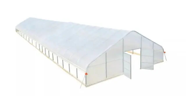 CAEL Gewächshaustunnel 26 × 80 ft – 6-mil-EVA-Folie, Stahlrahmen