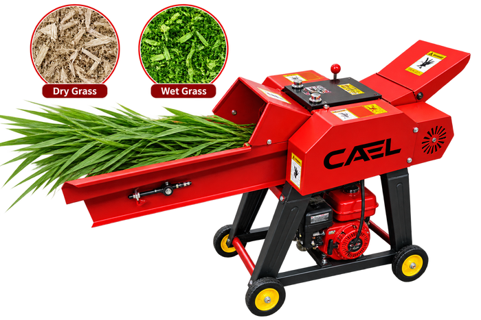 CAEL 9ZT-019B Chaff Cutter with Hopper – 2,000 kg/h