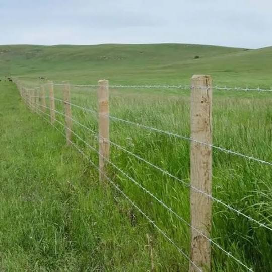 Grillage agricole CAEL FMF100 – hauteur 47 in, rouleau de 328 ft (100 m)